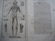 Load image into Gallery viewer, Gaetano Petrioli - Le otto Tavole anatomiche - Anatomy Medicine - 1750 - Avalon - Plants, Gifts &amp; Antiques
