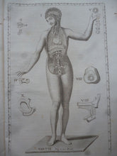 Lade das Bild in den Galerie-Viewer, Gaetano Petrioli - Le otto Tavole anatomiche - Anatomy Medicine - 1750 - Avalon - Plants, Gifts &amp; Antiques
