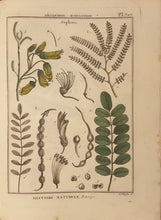 Load image into Gallery viewer, Jean-Baptiste de Lamarck - Tableau Encyclopedique et methodique des trois regnes de la Nature - Botany - Quatrieme partie - 1793 - Avalon - Plants, Gifts &amp; Antiques
