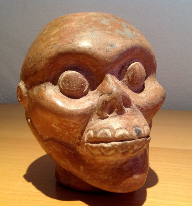 Pre-Columbian Moche portait cup in the form of a skull - 13 cm - 400 - 600 A.D. Peru - Avalon - Plants, Gifts & Antiques