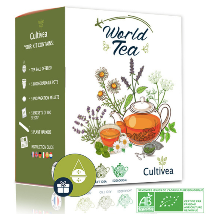 Tea Grow Kit