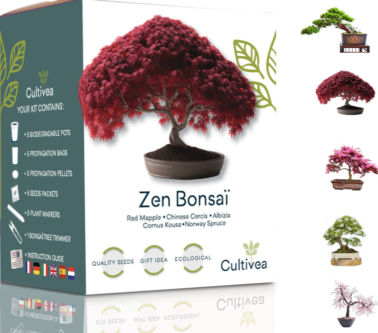 Bonsai Grow Kit | Zen bonsai