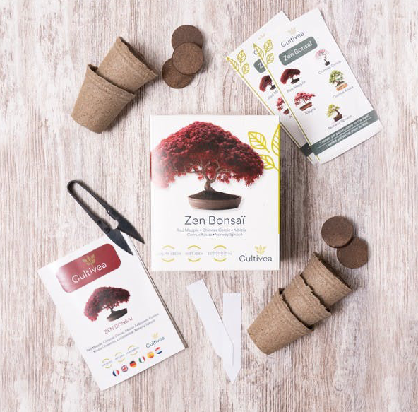 Bonsai Grow Kit | Zen bonsai