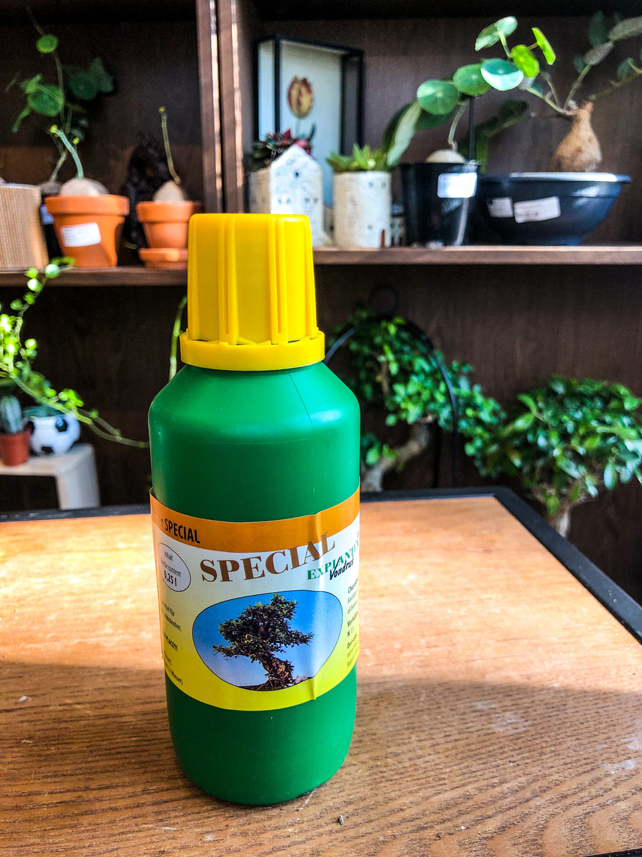 Bonsai Plant Food Avalon Plants, Gifts & Antiques