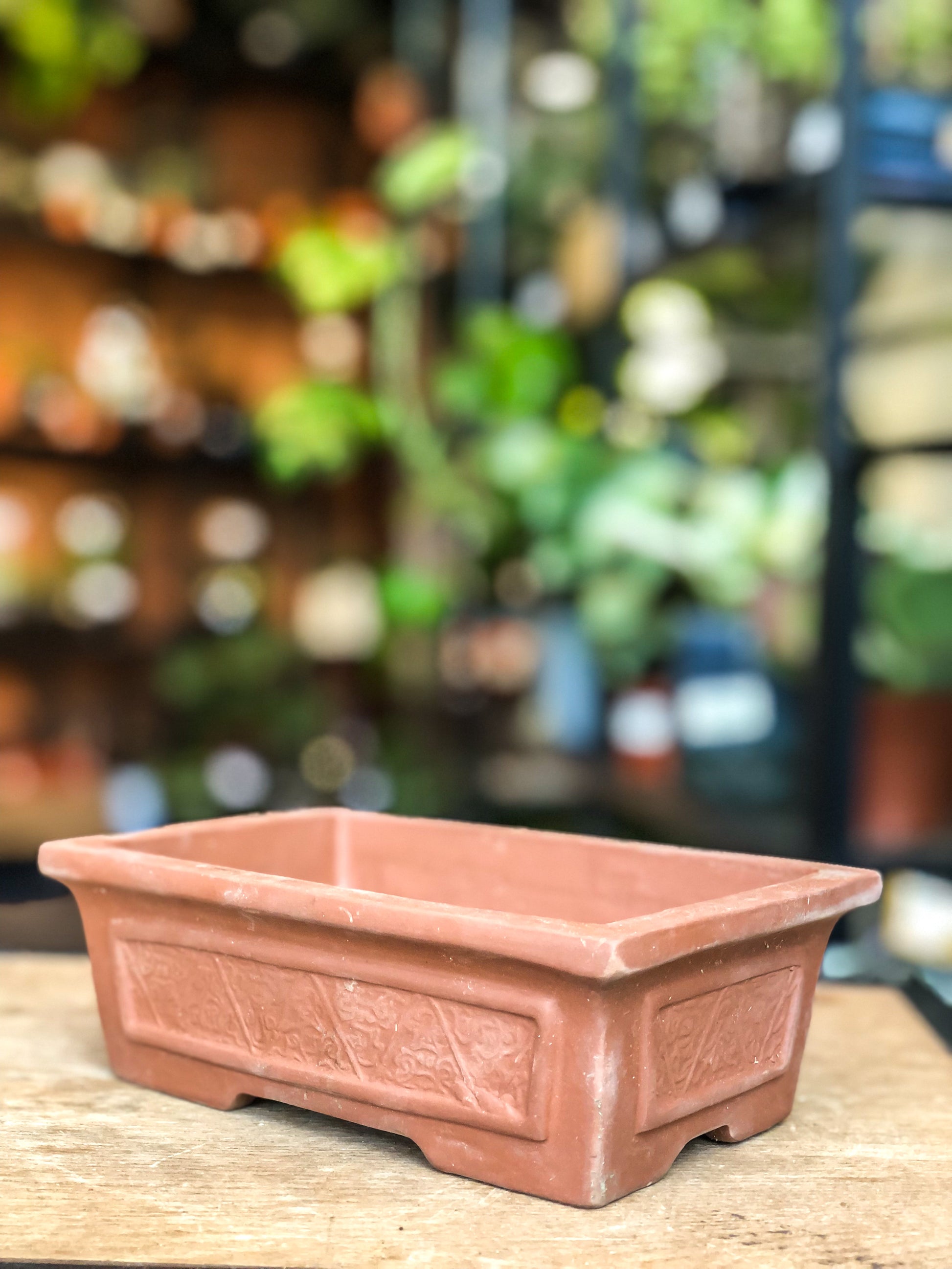 Bonsai Pot - Unique side patterns | High Quality Ceramic - Avalon - Plants, Gifts & Antiques