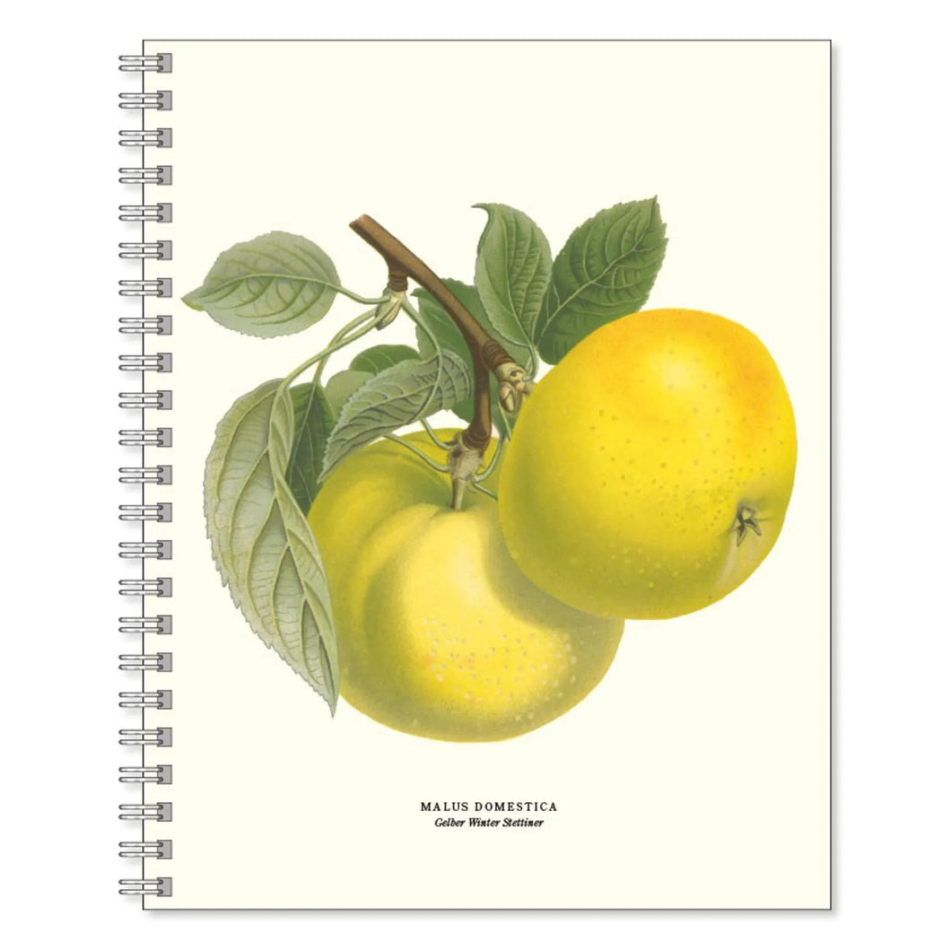 Botanical Notebook - Skrivbok Winter Strettiner - Avalon - Plants, Gifts & Antiques