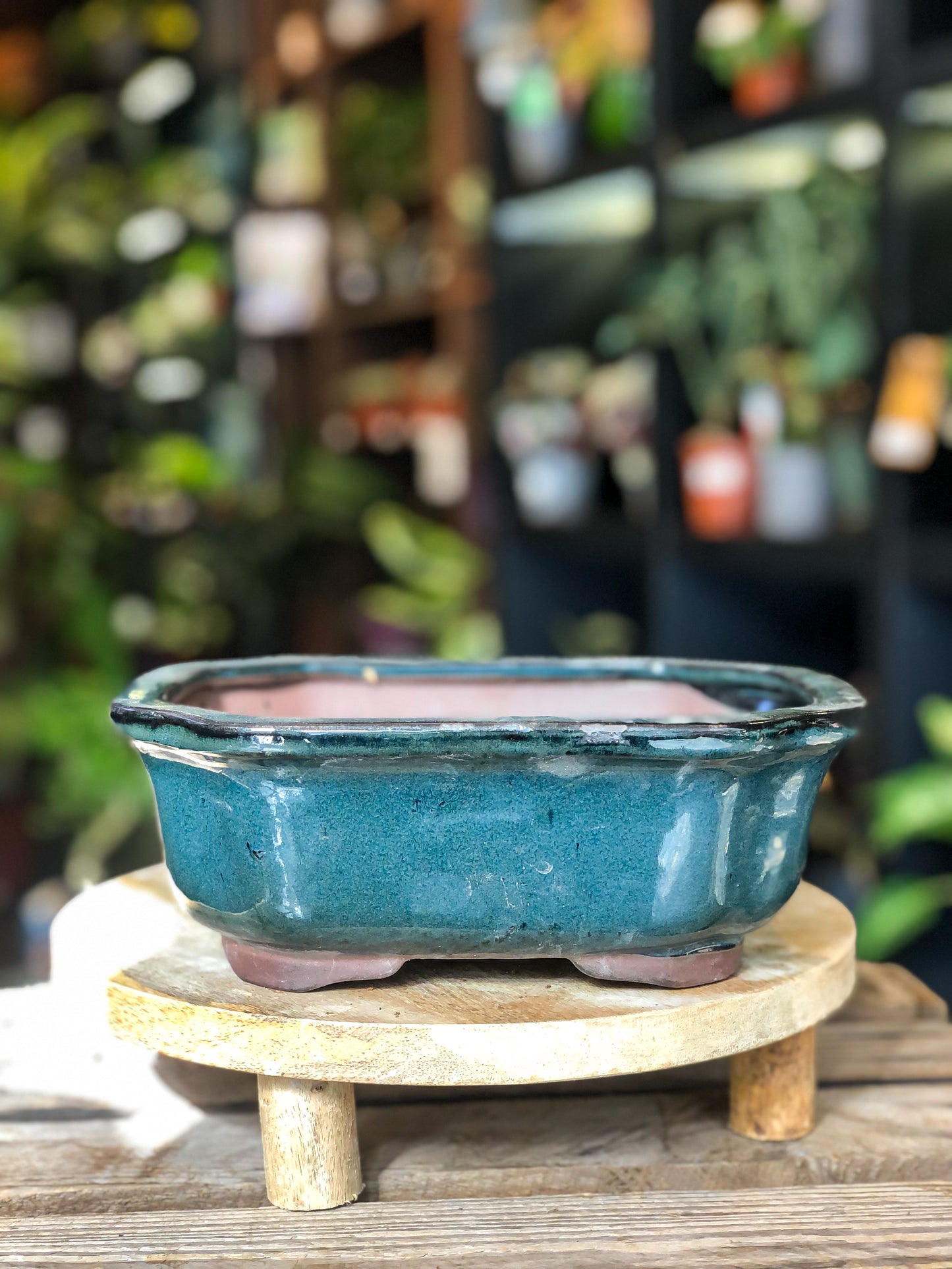 Bonsai Pot - Glazed Dark Blue