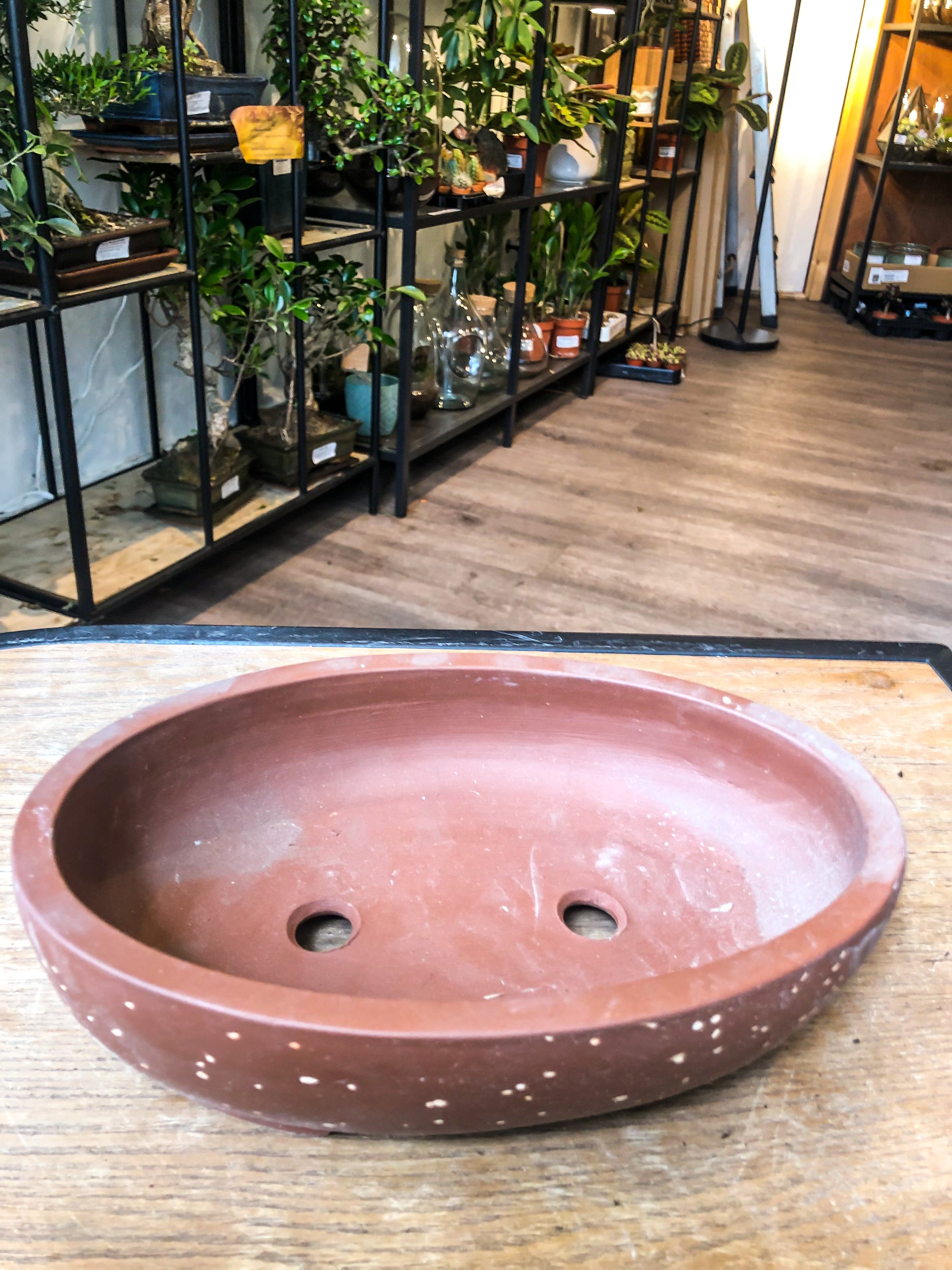 Bonsai Pot - Brown Ceramic - Avalon - Plants, Gifts & Antiques