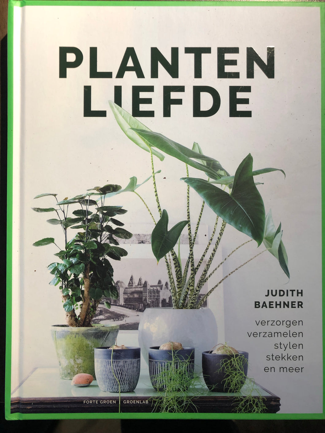 Planten Liefde - Avalon - Plants, Gifts & Antiques