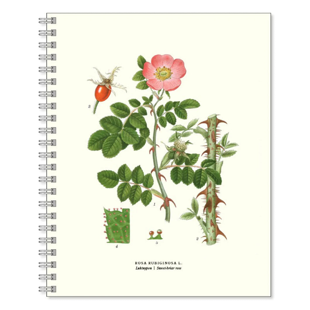 Botanical Notebook - Skrivbok Luktnypon - Avalon - Plants, Gifts & Antiques