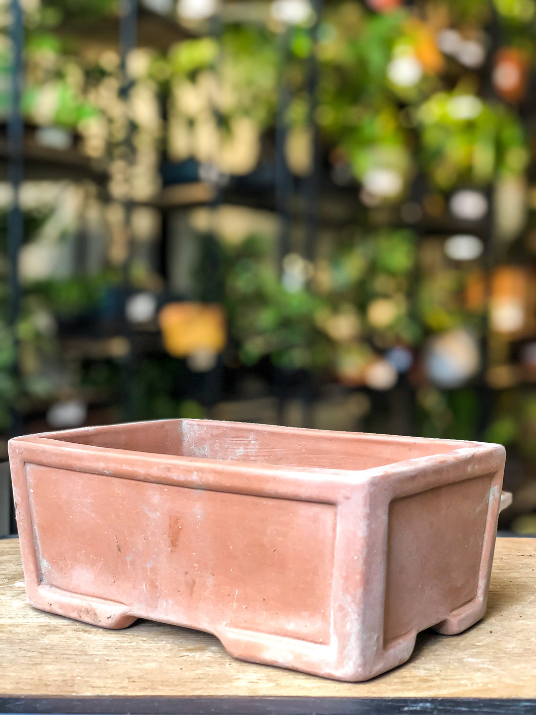 Bonsai Pot - Light Brown / Red - Avalon - Plants, Gifts & Antiques