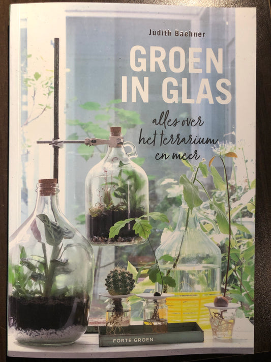 Groen in Glas - Avalon - Plants, Gifts & Antiques